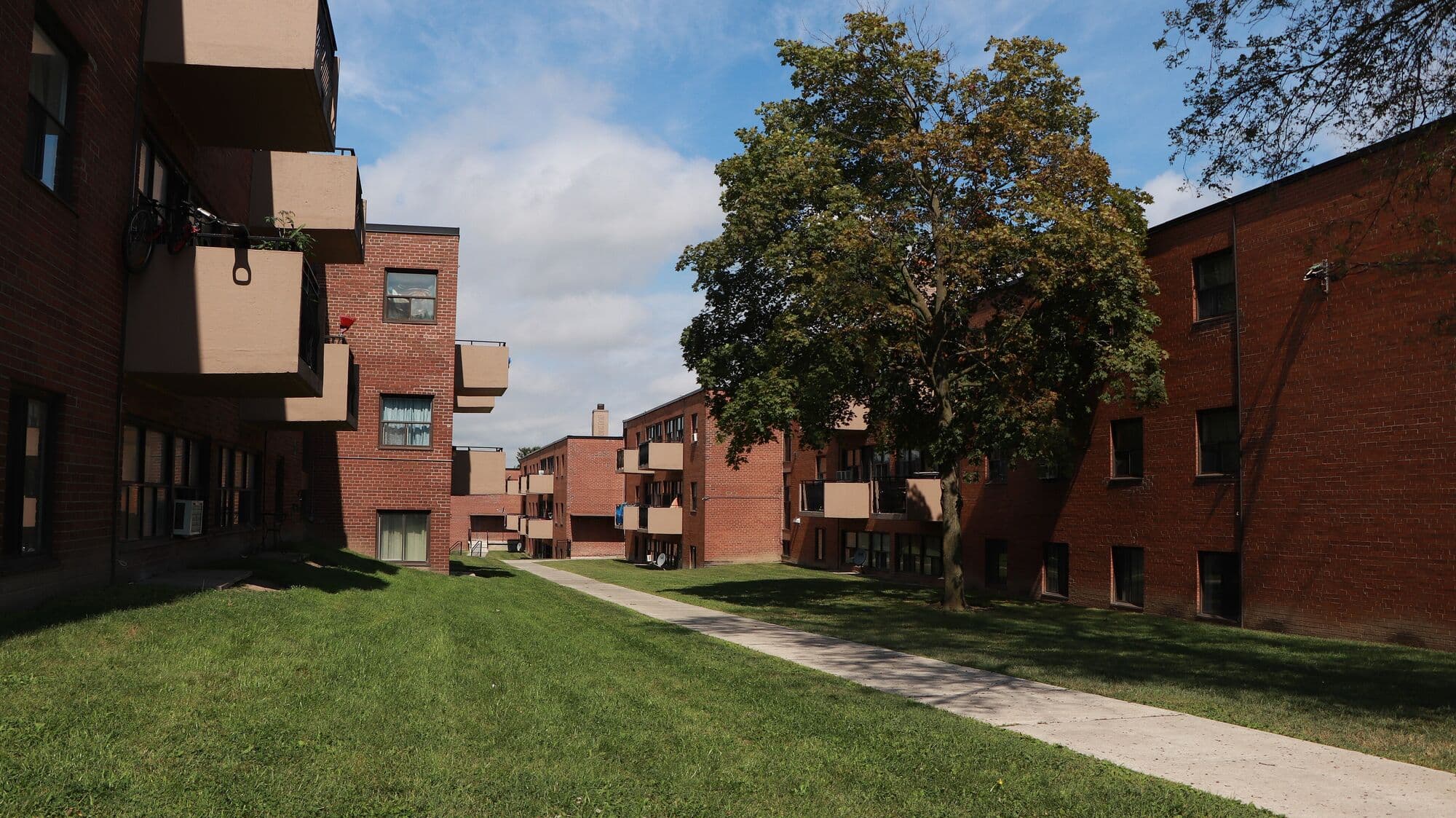Low-rise brick apartment buildings with lawns and mature trees in North York